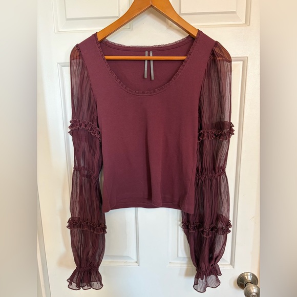 Anthropologie Long-Sleeve Victorian Ruffled Top small - Picture 6 of 8